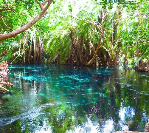 The Chemka Oasis: A Private Expedition to the Turquoise Heart of Tanzania