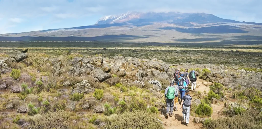 Climbing-Kilimanjaro-Via-8-Days-Lemosho-Route-scaled