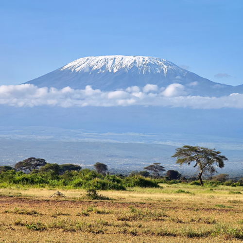 The “Coca-Cola” Classic: Kilimanjaro’s Definitive Hut-to-Hut Expedition
