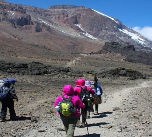 The Rongai Ascent: Kilimanjaro’s Northern Frontier Unveiled